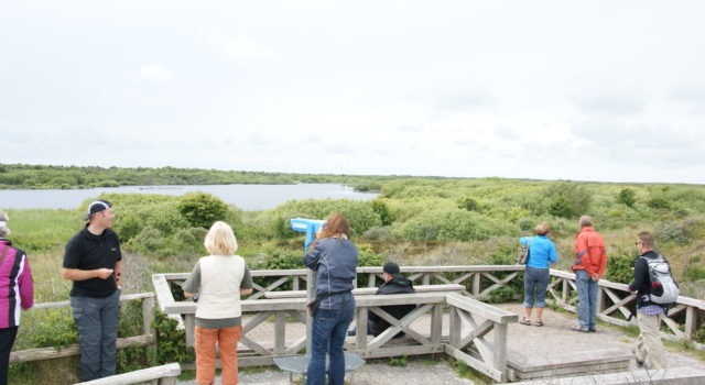 Geul, uitkijkpunt, Texel