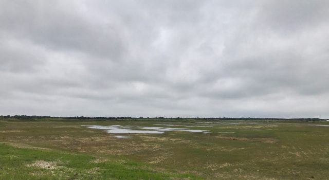 2018 06 Hanenplas door Charlotte Biskop