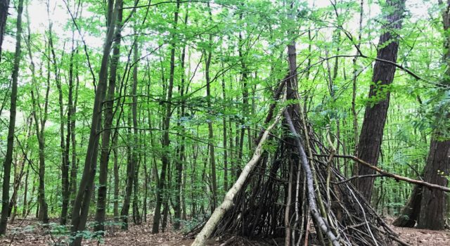 Welp Vijf leukste tips om met je kinderen te genieten van de natuur op SF-87