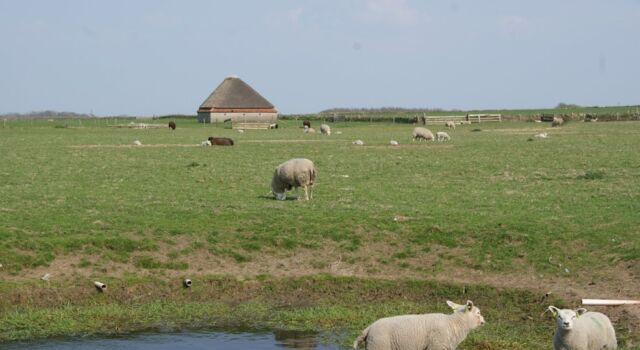 Hoge Berg Texel