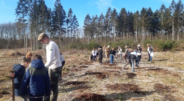 Boomfeestdag in de Lage Vuursche