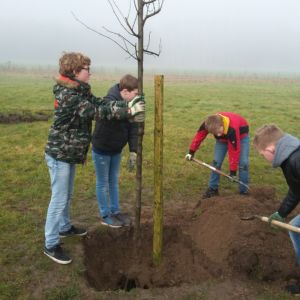 groep 8 van de Keijenbergschool uit Renkum plant een boom tijdens de Nationale Boomplantdag 2018