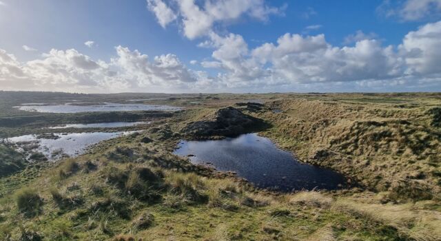 water in de duinen 2023