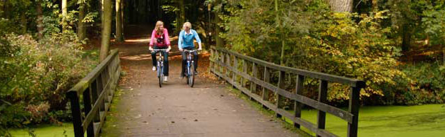 fietsers in haagse bos