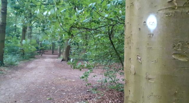 Witte stippen op bomen in het Haagse Bos - Boswachter Sandra Knop