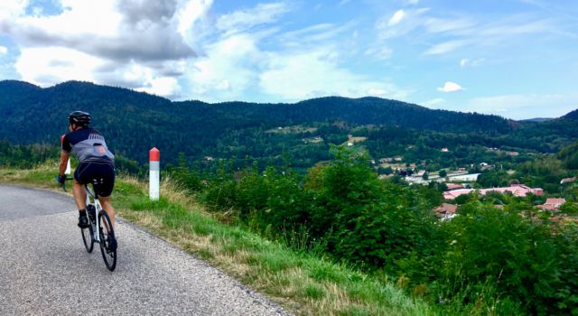 Op de flanken van de cols in de Vogezen (foto Mark Kras)