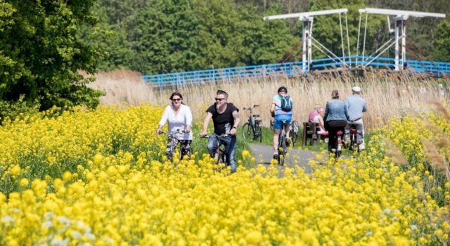 bloemrijke bermen